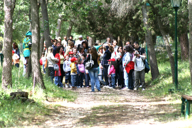 visita bosco2