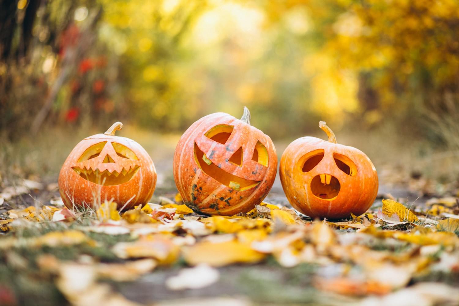 11- 01/11/2026 - HALLOWEEN E LE ZUCCHE DISPETTOSE
